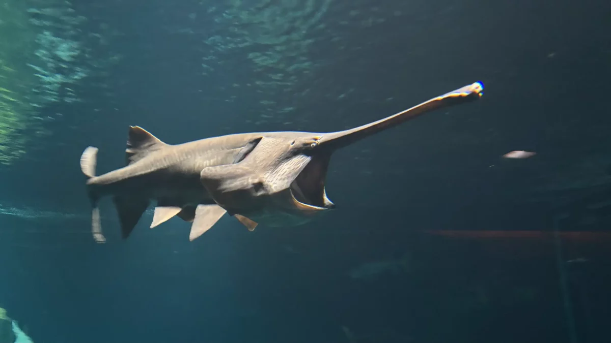 AQUATIS Aquarium-Vivarium