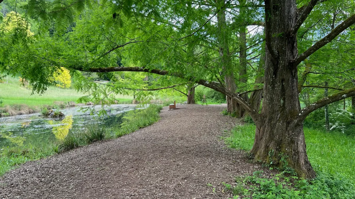 Arboretum du Vallon de l'Aubonne