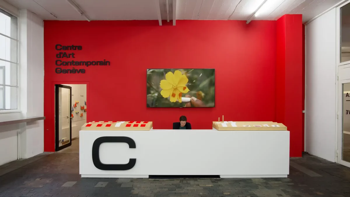 Centre d'art contemporain de Genève